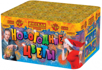 Новогодние цветы Фейерверк купить в Льгове | lgov.salutsklad.ru