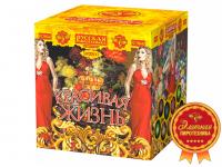 Красивая жизнь Фейерверк купить в Льгове | lgov.salutsklad.ru