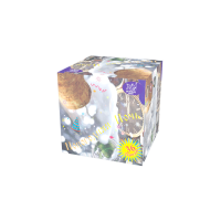 Новогодняя ночь Салют купить в Льгове | lgov.salutsklad.ru