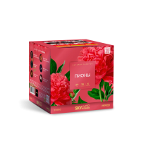 Пионы Салют купить в Льгове | lgov.salutsklad.ru