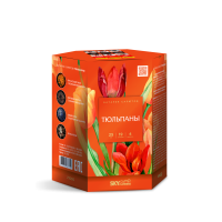 Тюльпаны Салют купить в Льгове | lgov.salutsklad.ru