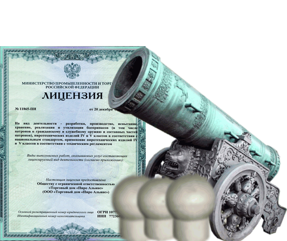 Заказать фейерверк на Новый Год - салют в Льгове