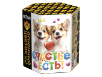 Счастье есть! Салют купить в Льгове | lgov.salutsklad.ru