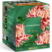 Хризантемы Фейерверк купить в Льгове | lgov.salutsklad.ru