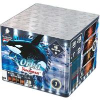 Косатка Фейерверк купить в Льгове | lgov.salutsklad.ru