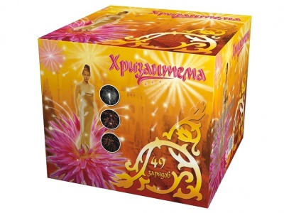 Хризантема Салют купить в Льгове | lgov.salutsklad.ru