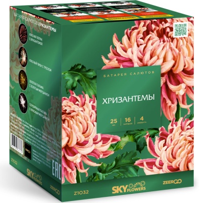 Хризантемы Фейерверк купить в Льгове | lgov.salutsklad.ru
